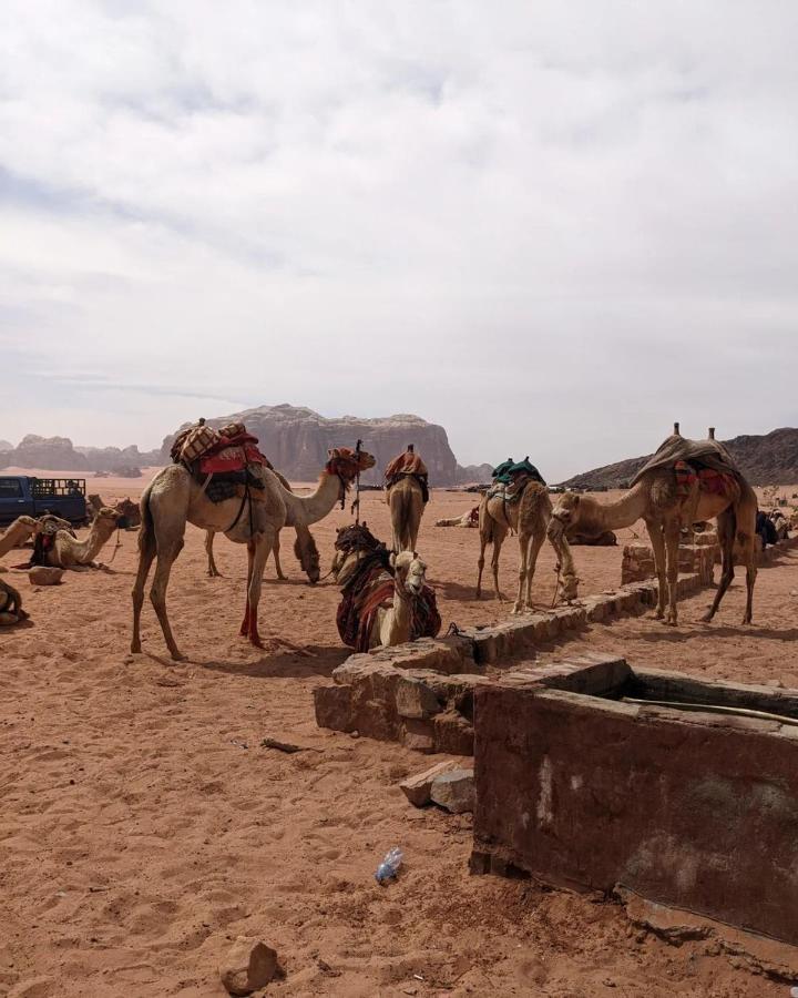 Wadi Rum Fun Time Tour'S Екстериор снимка