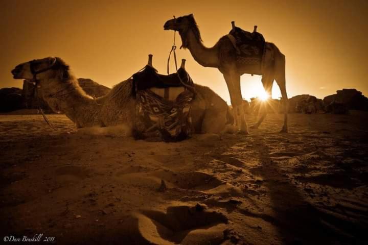 Wadi Rum Fun Time Tour'S Екстериор снимка